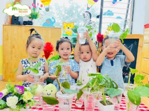 STEM: BÉ TRỒNG CÂY THỦY SINH - TRƯỜNG MẦM NON VOI CON