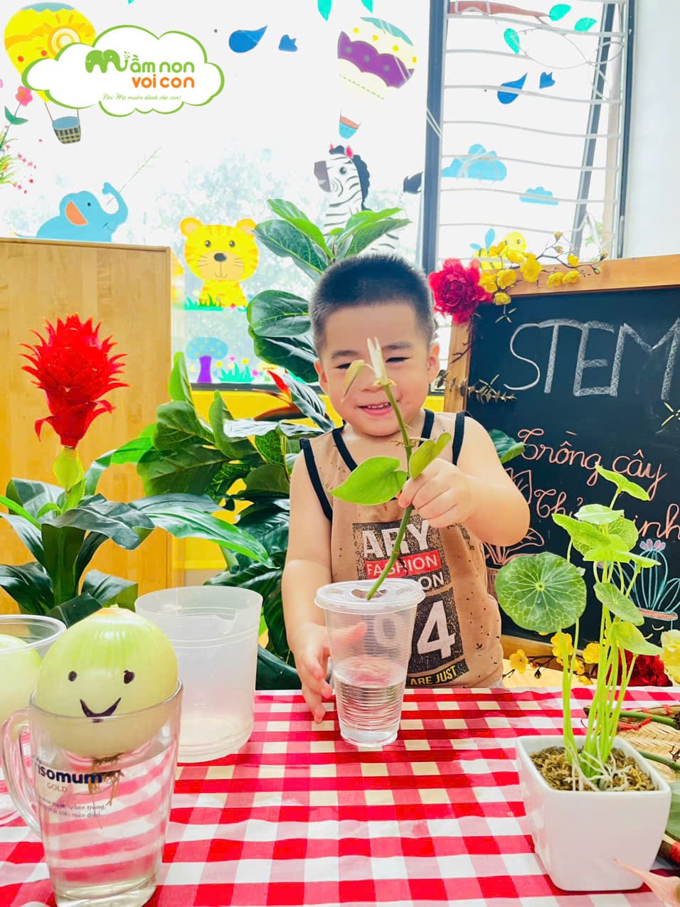 STEM: BÉ TRỒNG CÂY THỦY SINH - TRƯỜNG MẦM NON VOI CON