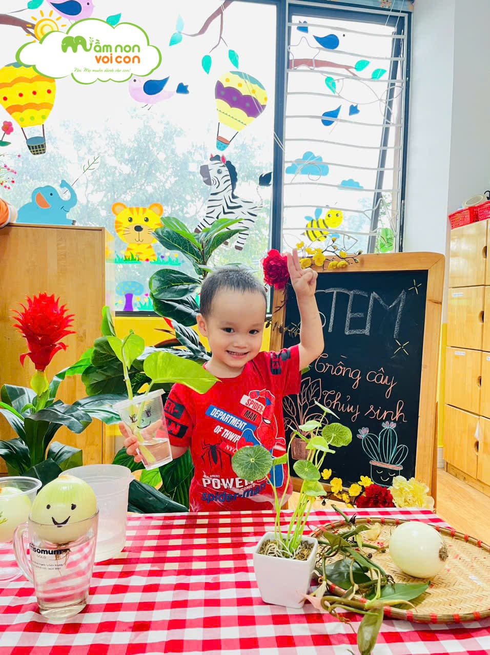 STEM: BÉ TRỒNG CÂY THỦY SINH - TRƯỜNG MẦM NON VOI CON