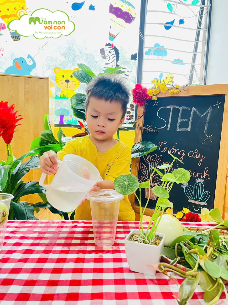 STEM: BÉ TRỒNG CÂY THỦY SINH - TRƯỜNG MẦM NON VOI CON