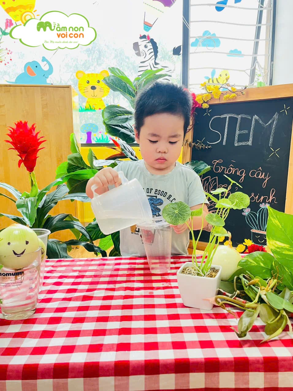 STEM: BÉ TRỒNG CÂY THỦY SINH - TRƯỜNG MẦM NON VOI CON