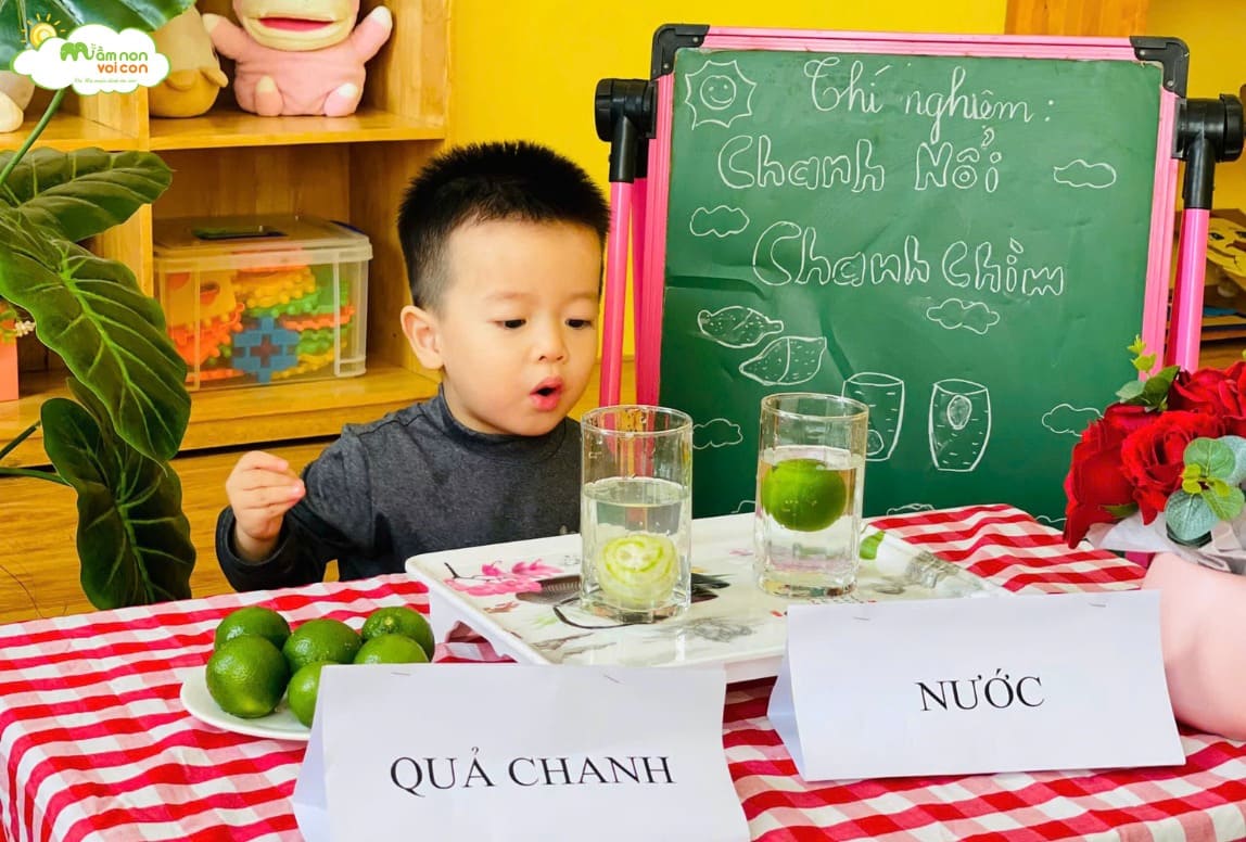 THÍ NGHIỆM: “CHANH NỔI CHANH CHÌM” - TRƯỜNG MẦM NON VOI CON