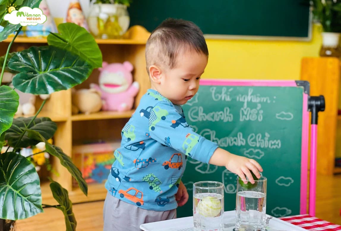 THÍ NGHIỆM: “CHANH NỔI CHANH CHÌM” - TRƯỜNG MẦM NON VOI CON