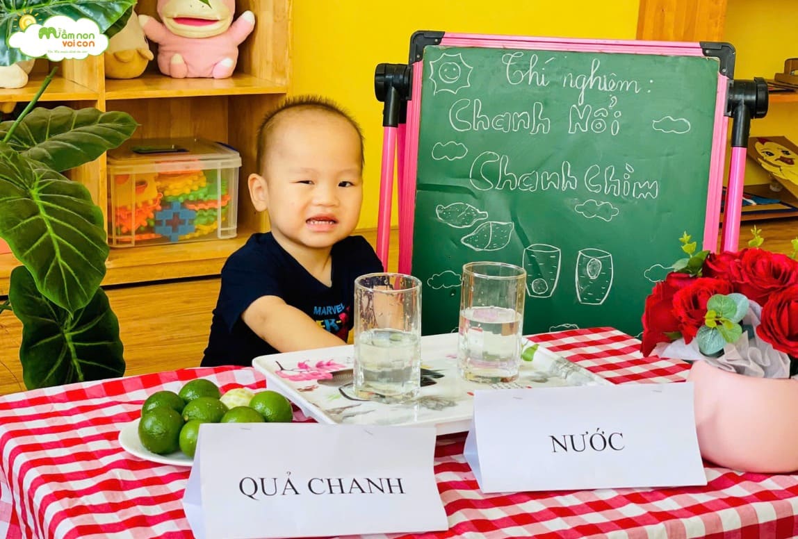 THÍ NGHIỆM: “CHANH NỔI CHANH CHÌM” - TRƯỜNG MẦM NON VOI CON