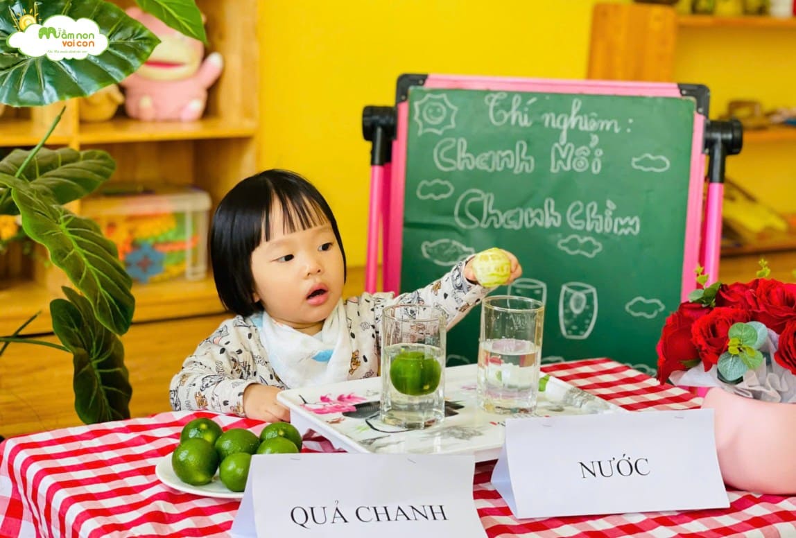 THÍ NGHIỆM: “CHANH NỔI CHANH CHÌM” - TRƯỜNG MẦM NON VOI CON