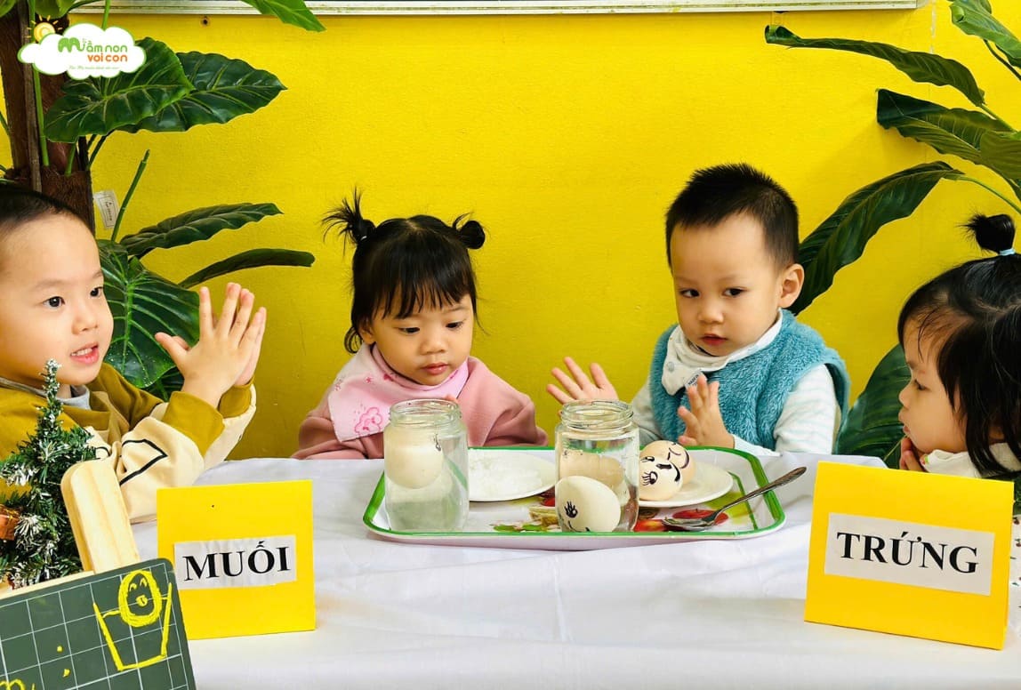 THÍ NGHIỆM: “TRỨNG CHÌM, TRỨNG NỔI” - TRƯỜNG MẦM NON VOI CON