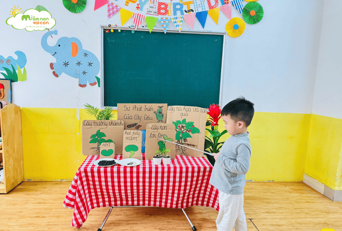 KHÁM PHÁ: SỰ PHÁT TRIỂN CỦA CÂY ĐẬU - LỚP E4 - TRƯỜNG MẦM NON VOI CON