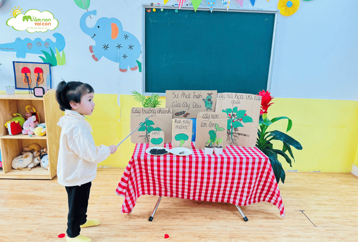 KHÁM PHÁ: SỰ PHÁT TRIỂN CỦA CÂY ĐẬU - LỚP E4 - TRƯỜNG MẦM NON VOI CON