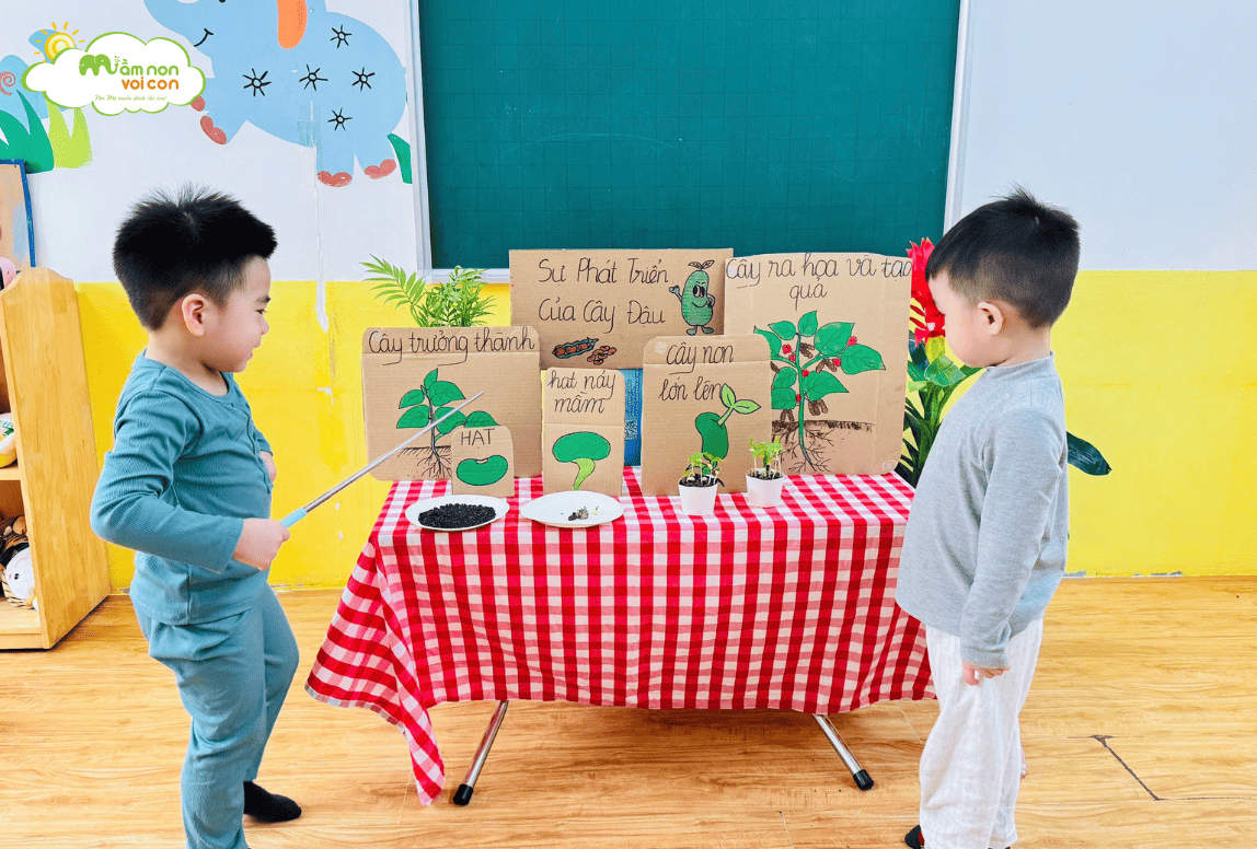 KHÁM PHÁ: SỰ PHÁT TRIỂN CỦA CÂY ĐẬU - LỚP E4 - TRƯỜNG MẦM NON VOI CON