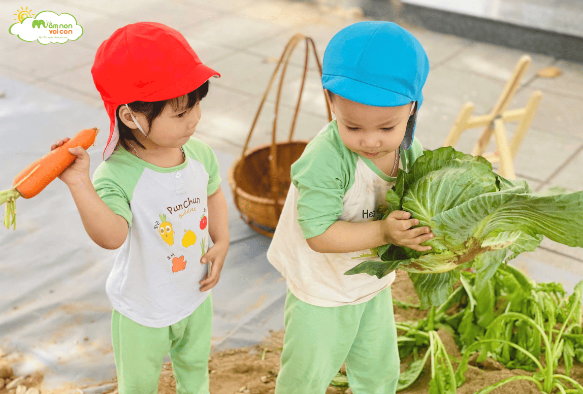 MỘT NGÀY LÀM BÁC NÔNG DÂN THU HOẠCH NÔNG SẢN - TRƯỜNG MẦM NON VOI CON