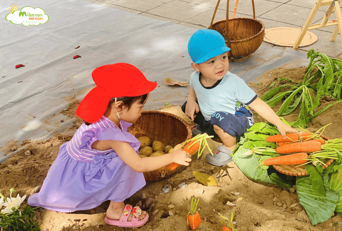 MỘT NGÀY LÀM BÁC NÔNG DÂN THU HOẠCH NÔNG SẢN - TRƯỜNG MẦM NON VOI CON