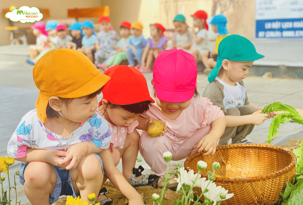 MỘT NGÀY LÀM BÁC NÔNG DÂN THU HOẠCH NÔNG SẢN - TRƯỜNG MẦM NON VOI CON