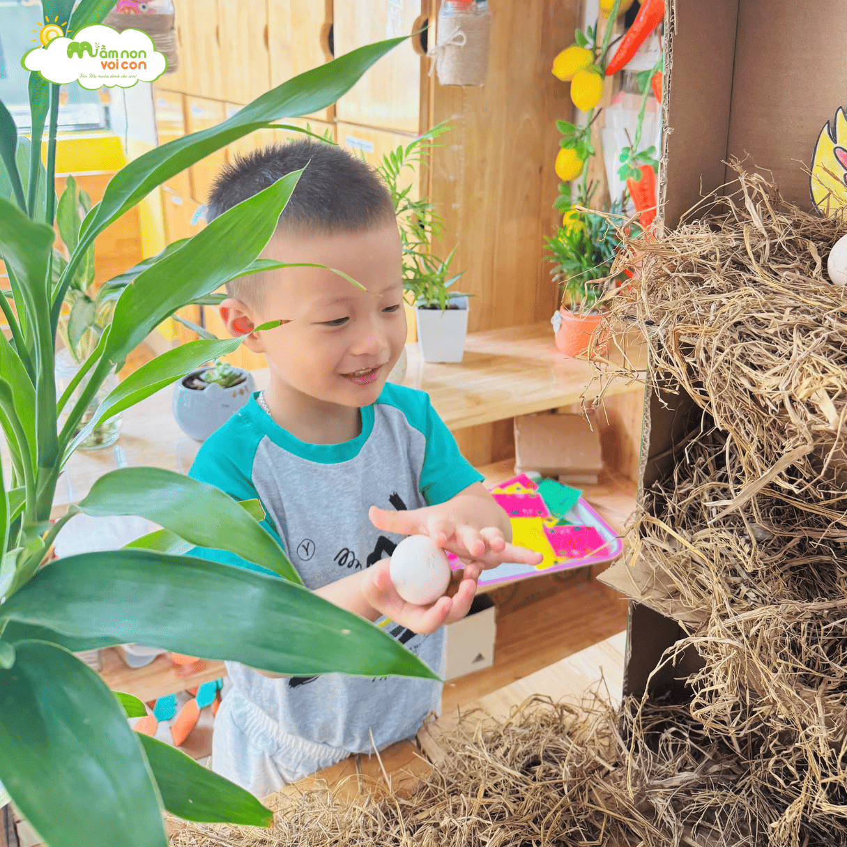 STEAM: “TRANG TRẠI GÀ E4” - TRƯỜNG MẦM NON VOI CON