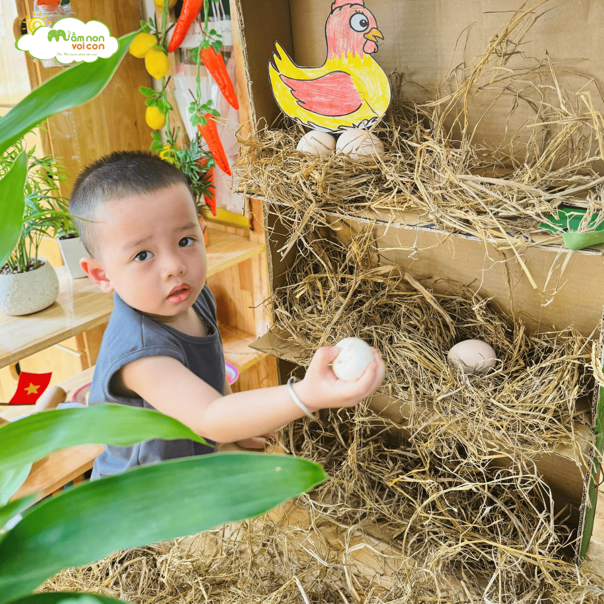 STEAM: “TRANG TRẠI GÀ E4” - TRƯỜNG MẦM NON VOI CON