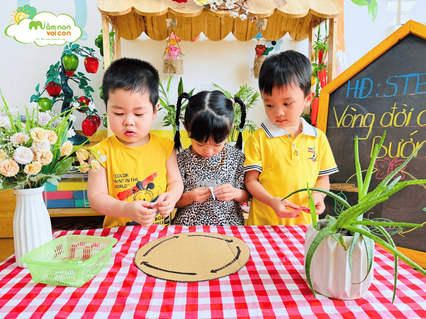 STEAM: “VÒNG ĐỜI CỦA BƯỚM” STEAM: “VÒNG ĐỜI CỦA BƯỚM” - TRƯỜNG MẦM NON VOI CON