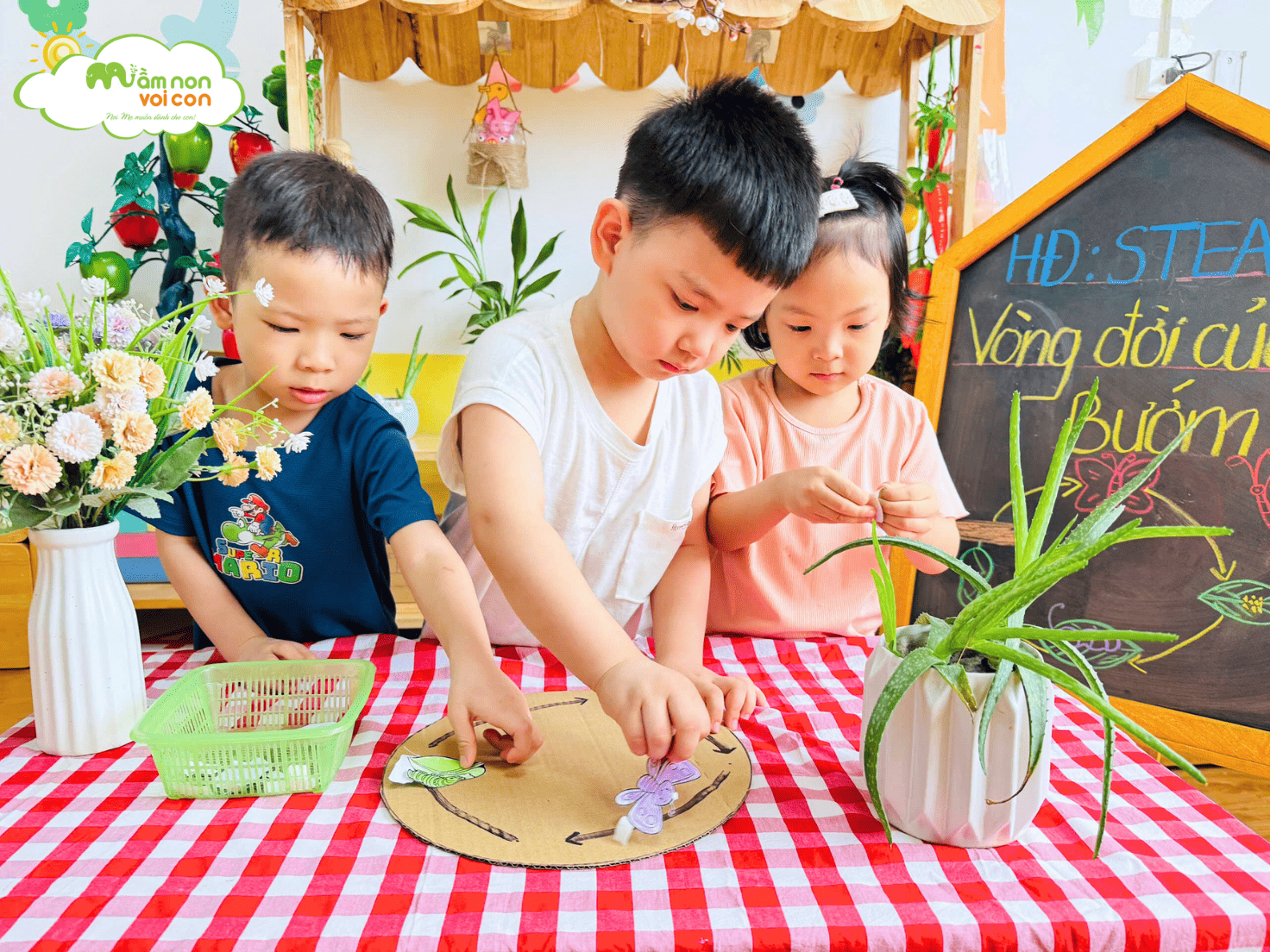 STEAM: “VÒNG ĐỜI CỦA BƯỚM” STEAM: “VÒNG ĐỜI CỦA BƯỚM” - TRƯỜNG MẦM NON VOI CON