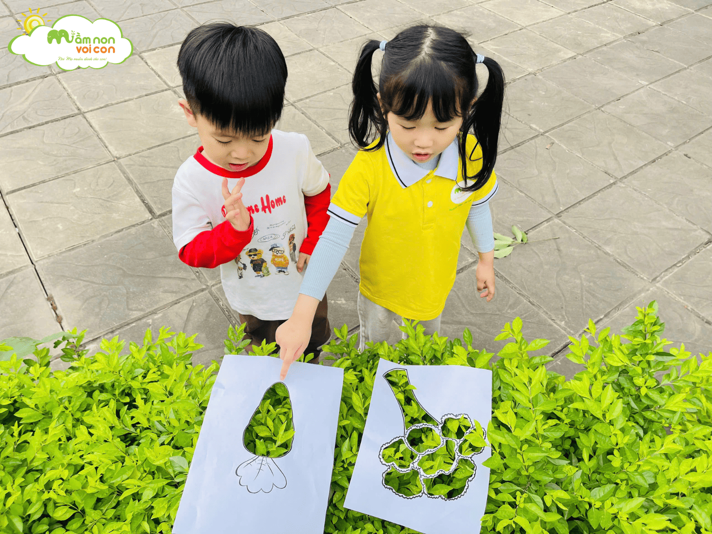 HOẠT ĐỘNG PTNT: “BÉ QUAN SÁT THẾ GIỚI XANH” - TRƯỜNG MẦM NON VOI CON