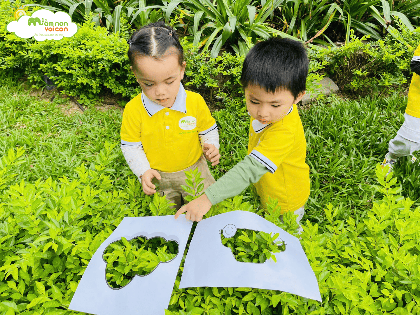 HOẠT ĐỘNG PTNT: “BÉ QUAN SÁT THẾ GIỚI XANH” - TRƯỜNG MẦM NON VOI CON