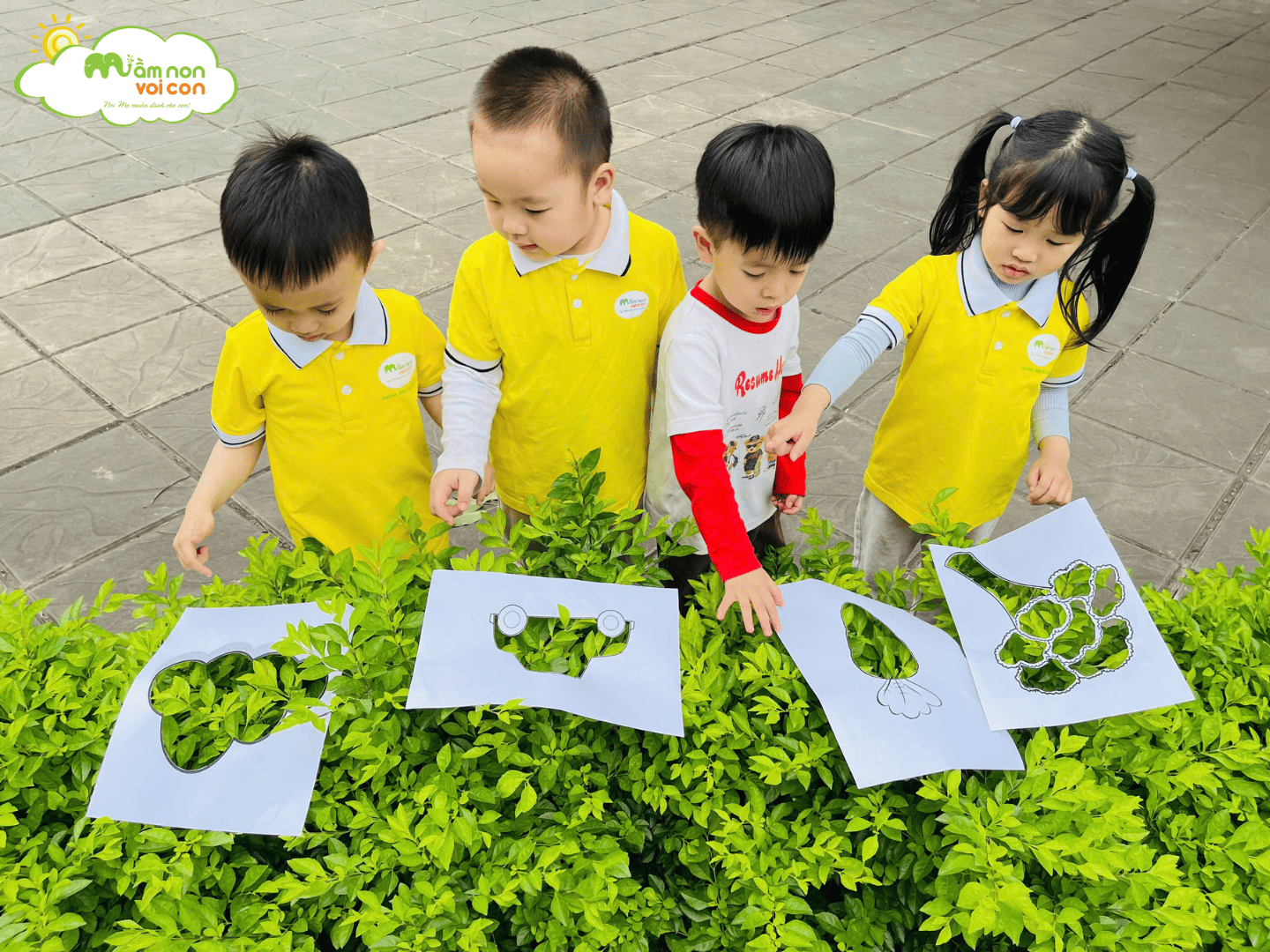 HOẠT ĐỘNG PTNT: “BÉ QUAN SÁT THẾ GIỚI XANH” - TRƯỜNG MẦM NON VOI CON