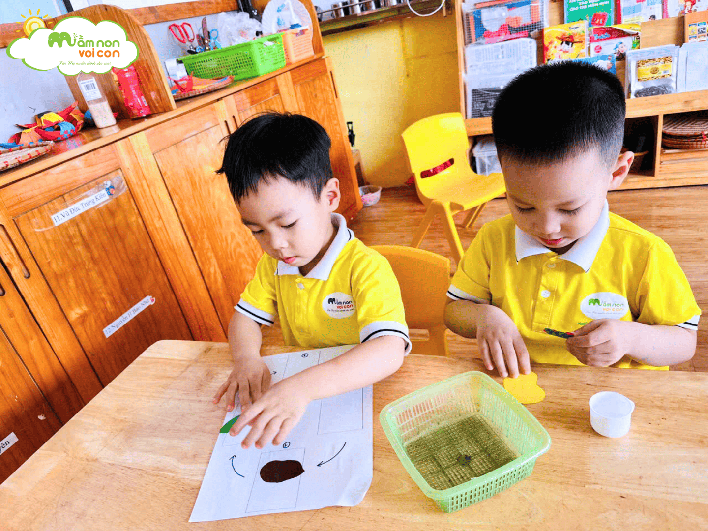 KHÁM PHÁ HÀNH TRÌNH LỚN LÊN CỦA CÂY - TRƯỜNG MẦM NON VOI CON