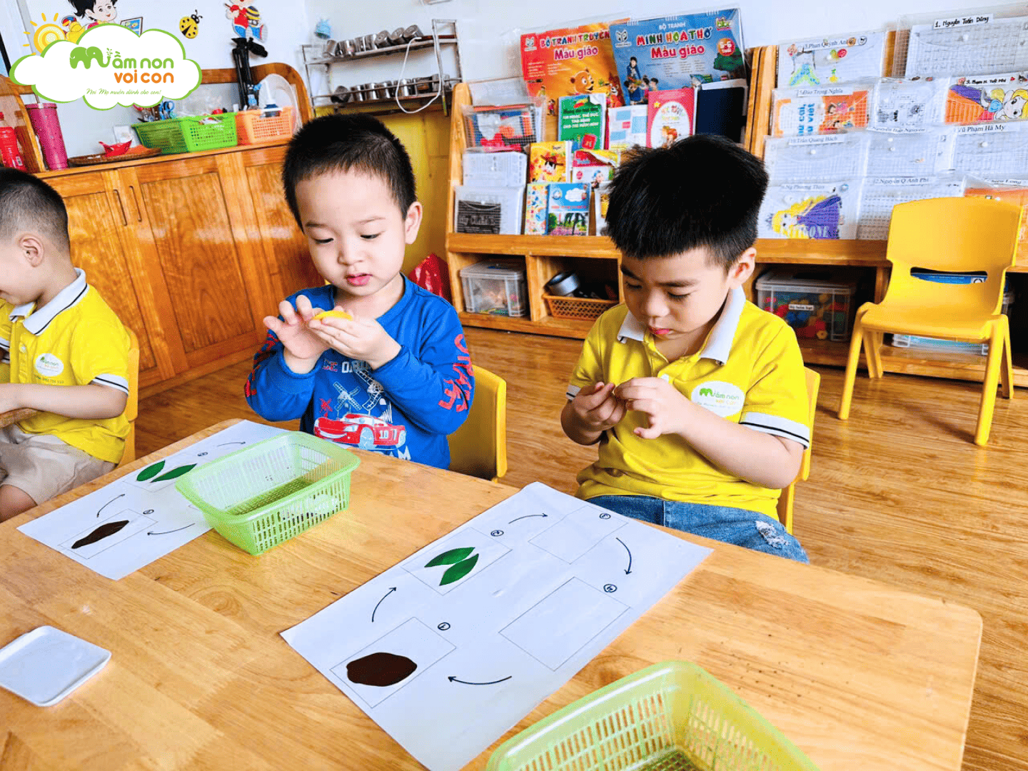 KHÁM PHÁ HÀNH TRÌNH LỚN LÊN CỦA CÂY - TRƯỜNG MẦM NON VOI CON