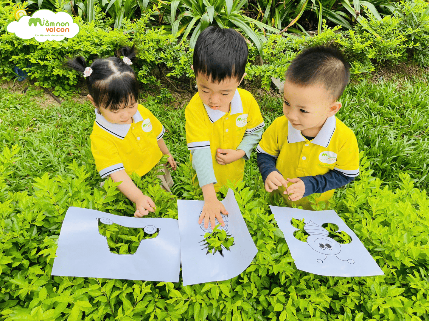 HOẠT ĐỘNG PTNT: “BÉ QUAN SÁT THẾ GIỚI XANH” - TRƯỜNG MẦM NON VOI CON